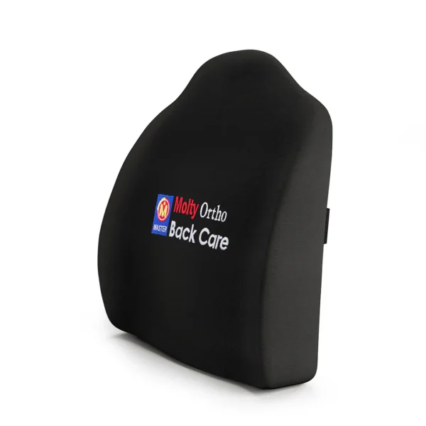 Back Care Cushion