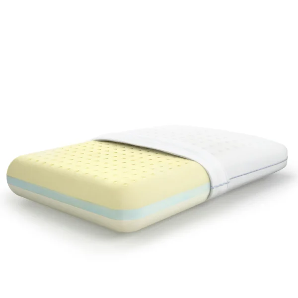 Molty Memory 2in1