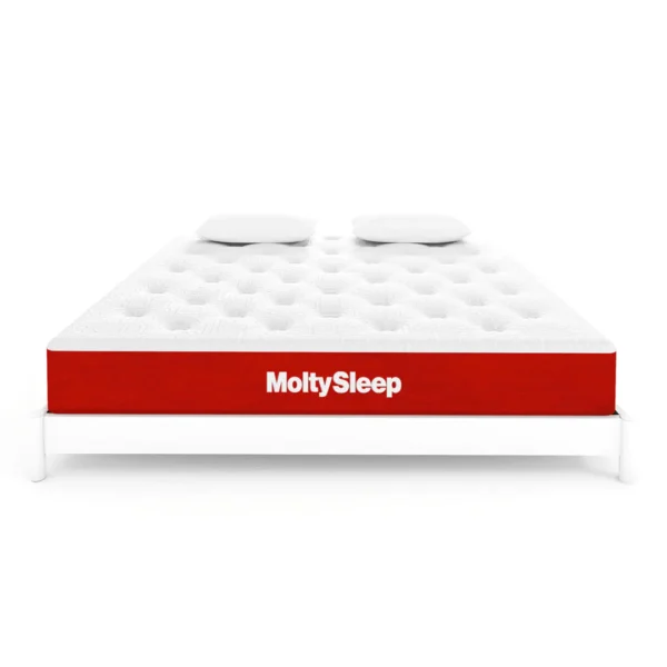 Molty Sleep